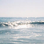 songs